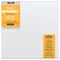 Blick Premier Stretched Cotton Canvas - Gallery Profile, Back-Stapled, 18" x 18"